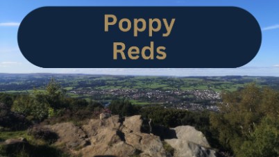 Poppy Reds