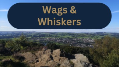 Wags and Whiskers